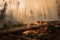 Ne détruisons pas les conditions d’habitabilité de notre Terre (partie 2)